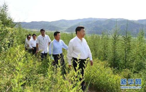 7月15日至16日,中共中央总书记、国家主席、中央军委主席习近平在内蒙古考察并指导开展“不忘初心、牢记使命”主题教育。这是15日下午,习近平在赤峰市喀喇沁旗马鞍山林场林区,沿着崎岖的护林小道察看林木长势。 新华社记者 谢环驰 摄 点击进入下一页