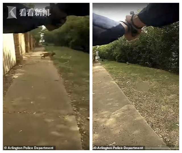 һ3ǹ蹷 ɵϵ˱ɱ