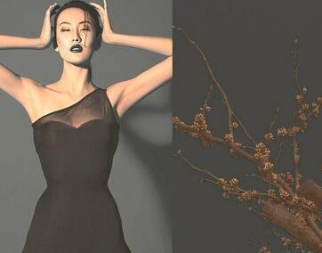 ���������һҳ