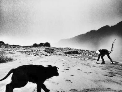 ���������һҳ