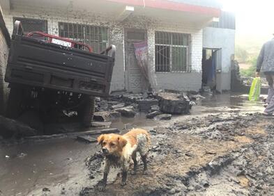 ���������һҳ