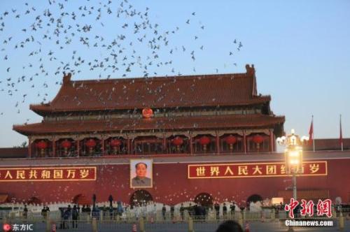 ���������һҳ