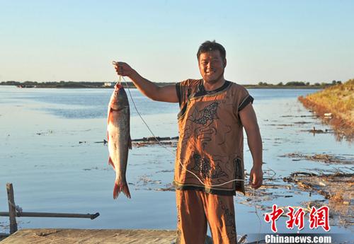 ���������һҳ