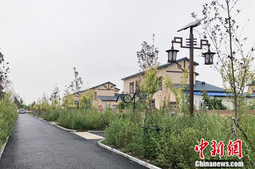 ���������һҳ