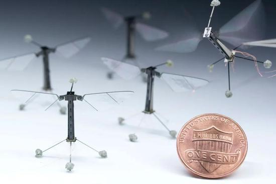 ���ӵ��о�������΢�ͷ������Ŀ�����ͼƬ���� Harvard University��