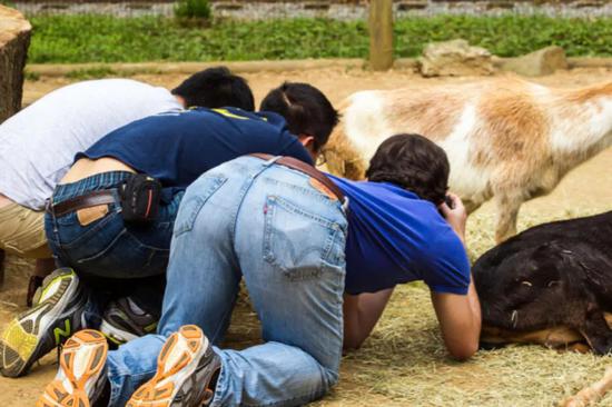 ���ڶ���԰���������ѧ����