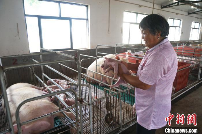 ����ͼ����ֳ������С���С��������� ��