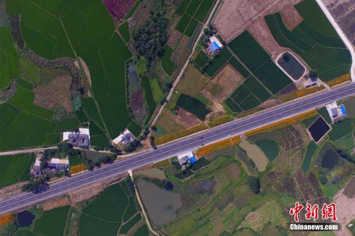 ���������һҳ