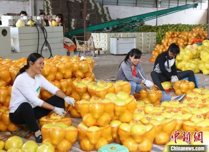 ���������һҳ