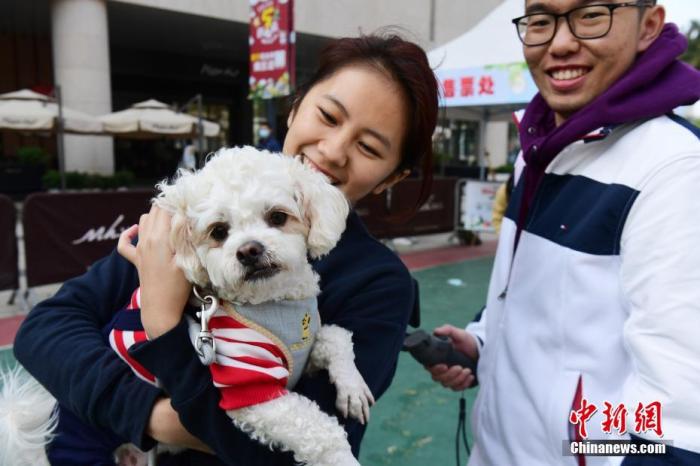 ����ͼ�����ﹷ���Ļ����оۻ������� <a target='_blank' href='http://www.chinanews.com/'>������</a>���� ���� ��