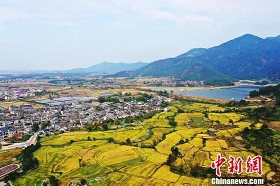 ����ͼ������ʱ�ڣ������ڼ��ĵ���һƬ��ơ�<a target='_blank' href='http://www.chinanews.com/'>������</a>���� ��ռ�� ��