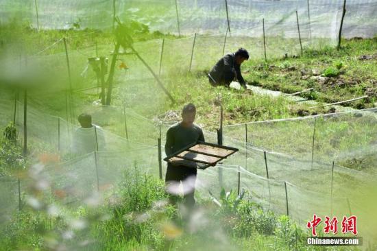 ���������һҳ