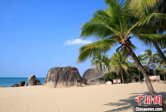 ���ĺ������������������� ��