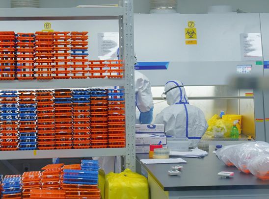 ���������һҳ