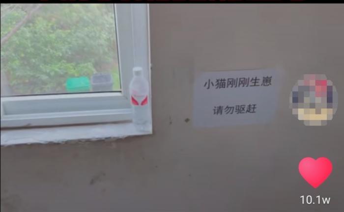 ���������һҳ