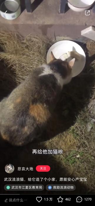 ���������һҳ