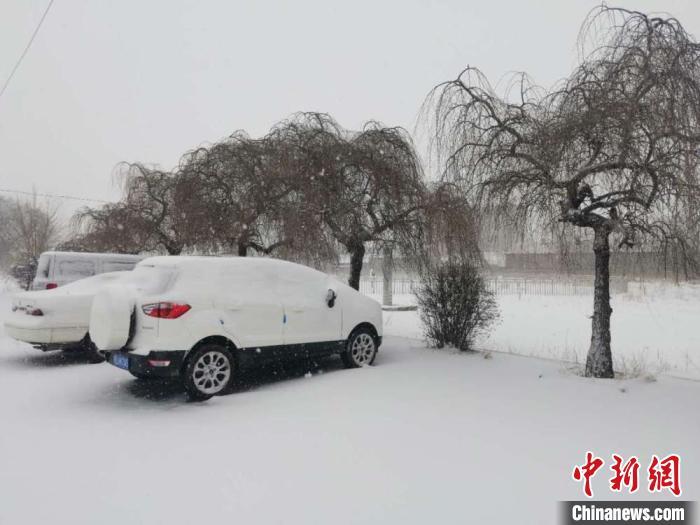 ���������һҳ