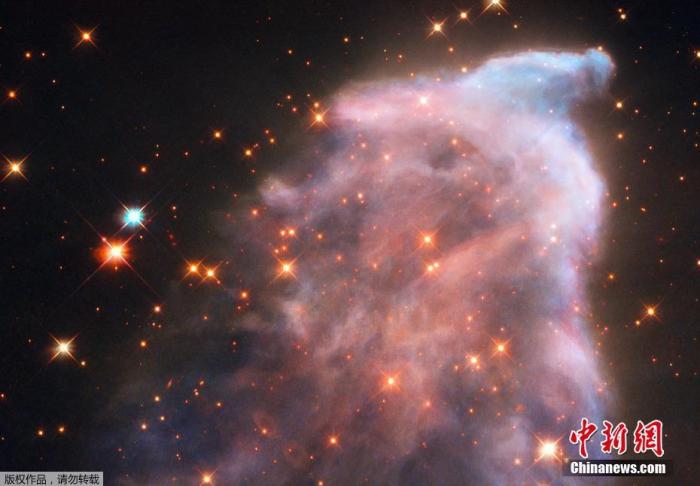 ���������һҳ