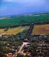 孔林鸟瞰 孔林鸟瞰