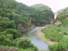 鱼参鱼河 鱼参鱼河