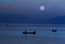 洱海月 洱海月
