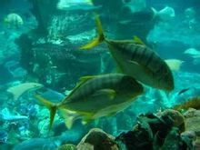 海洋天地 海洋天地