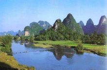 杨堤 杨堤