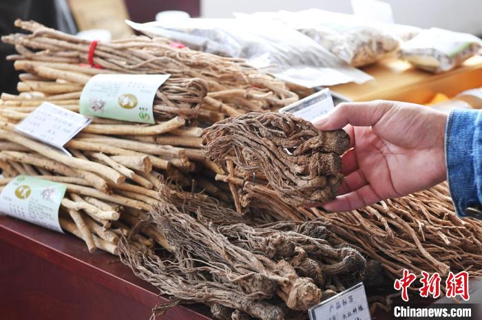 ͼΪ�й�(����)��ҽҩ��ҵ��������չ������ҩ�ġ�(����ͼ) ������ ��