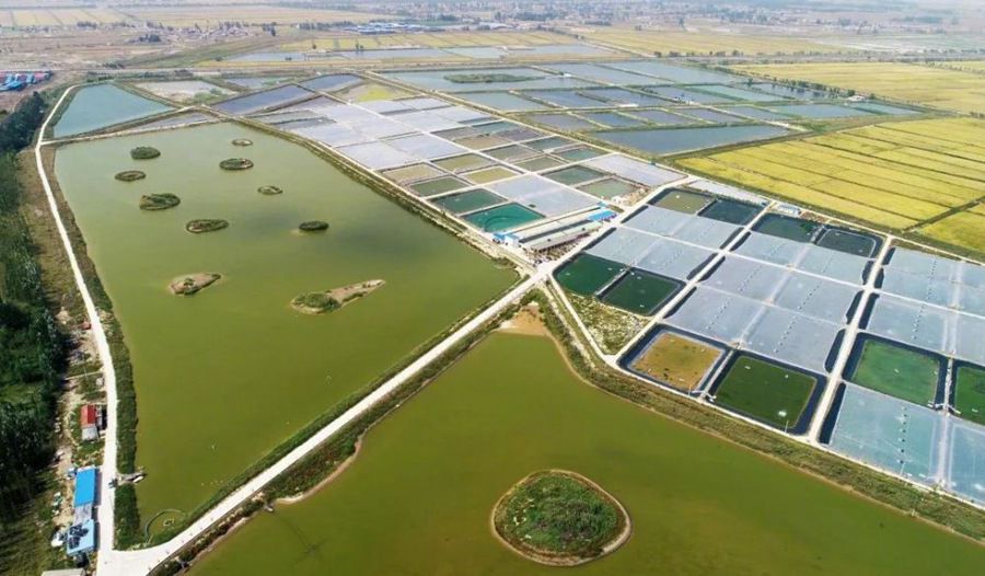 ���������һҳ