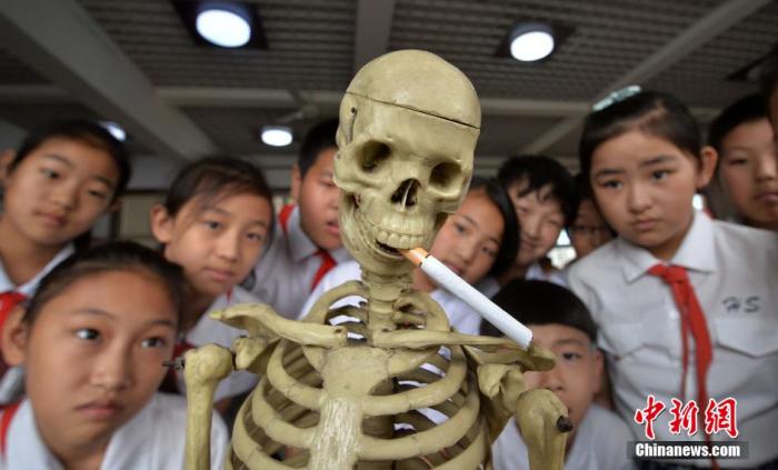 ���������һҳ