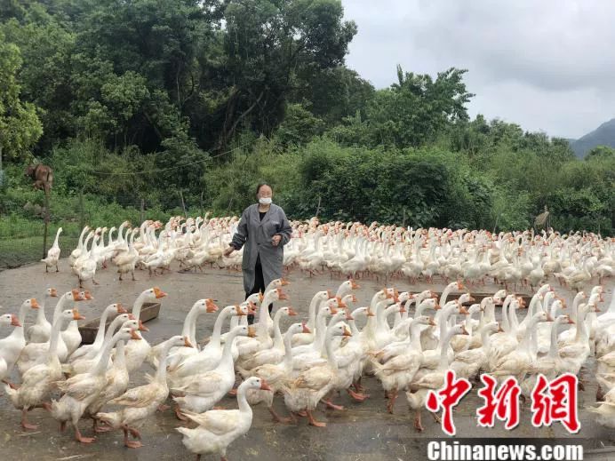 ���������һҳ