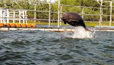 ���������һҳ