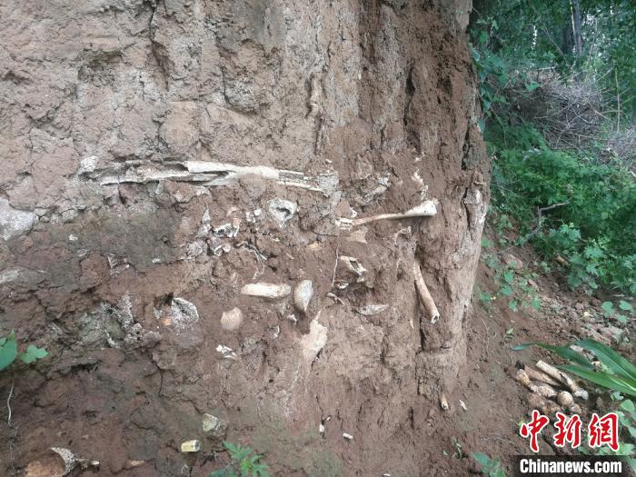 ���������һҳ