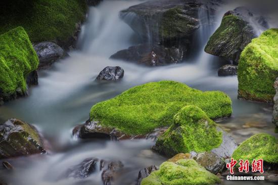 ���������һҳ