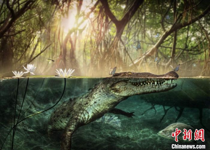 ���������һҳ