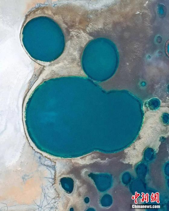 ���������һҳ