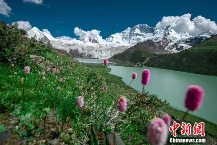 ���������һҳ