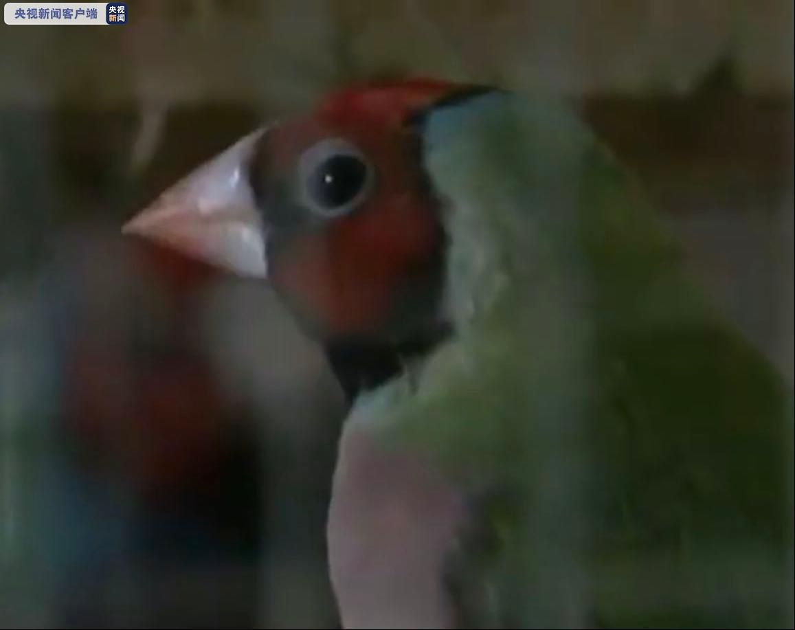 ���������һҳ