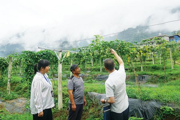 ���������һҳ