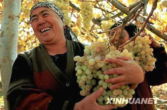  �½�����ͼԴ���»�����