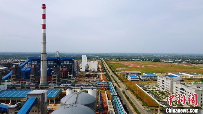 �����˲�Ҧ�Ҹۻ���԰�ڽ�����������60����Ҷ�����Ŀȫ����<a target='_blank' href='http://www.chinanews.com/'>������</a>���߶�������