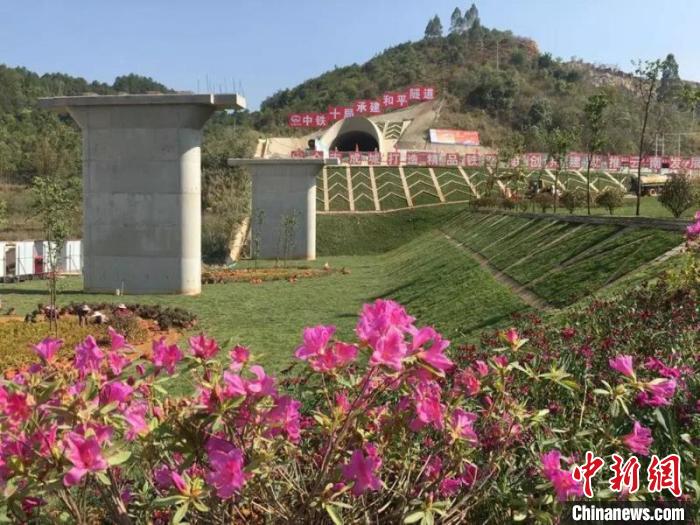 ͼΪ������·�й��α�����������ֲ�������� ��