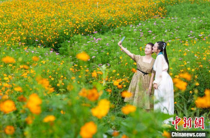 ���������һҳ