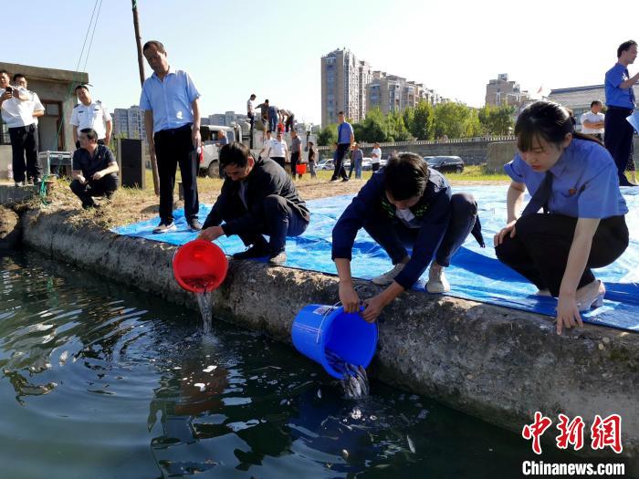 ����һ�Ը��ӷǷ����̻����Թ���β����ź���