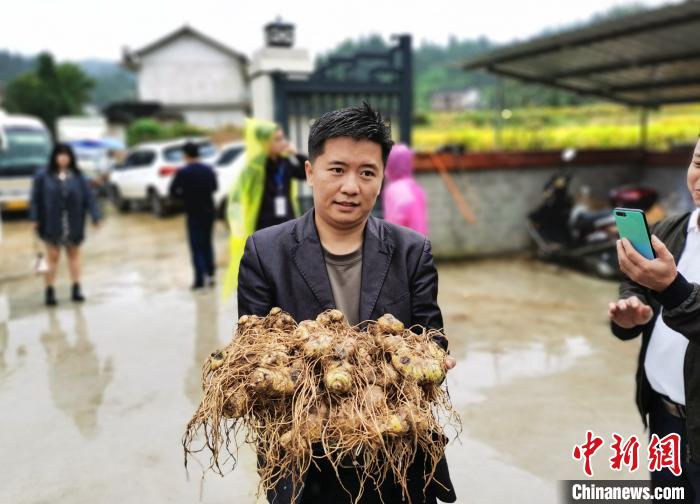 ���ڳ����Ļƾ�������һ�� ��