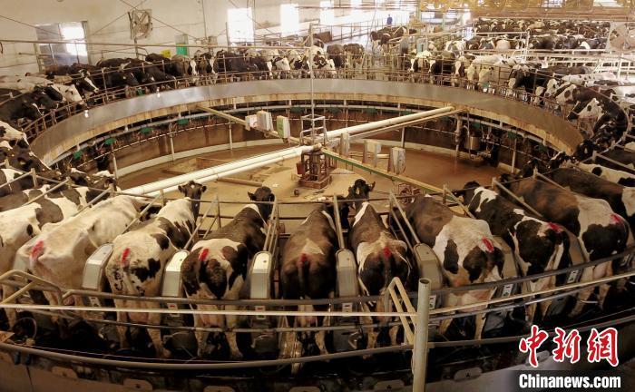 ��е����ֳ��ţ�����ھ� ��