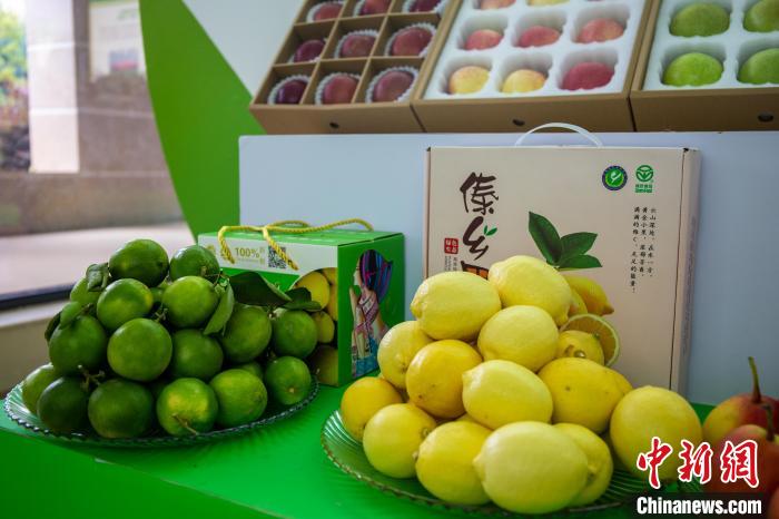 ͼΪ����ũҵ�Ƽ��ɹ��������ֳ���������ʡũҵ��ѧԺ��ͼ ��