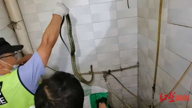 ���ھ������ץ�����