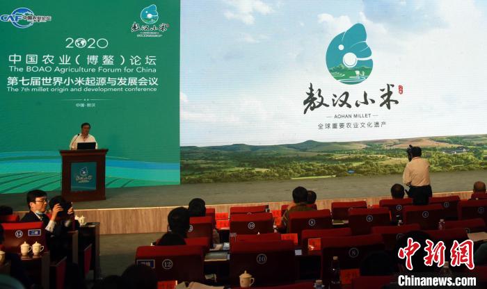 ����С��LOGO��ʽ�����������Է� ��