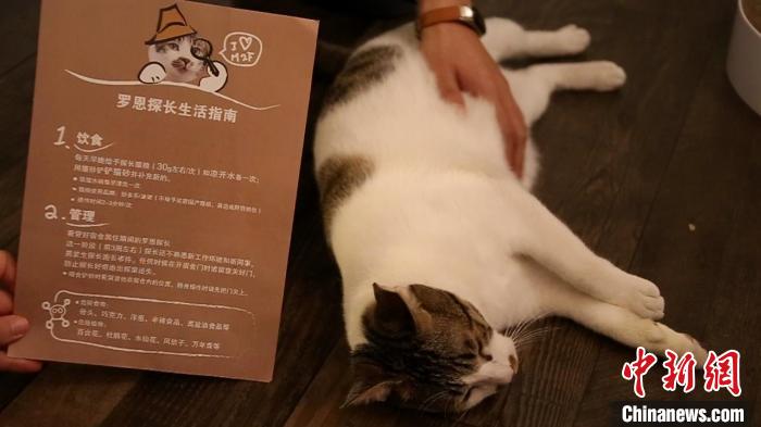 ���޶���̽��������ָ�ϡ����������